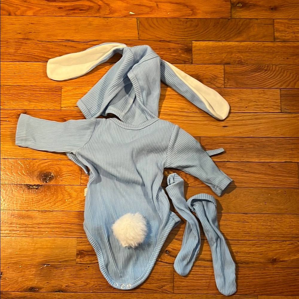 Blue Bunny set